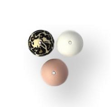 Charger l'image dans la galerie, Wagenspanner | Leopard