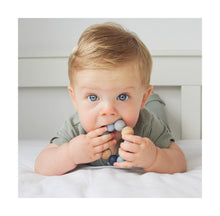 Afbeelding in Gallery-weergave laden, PR - Ombre Collection - Basic Chewie